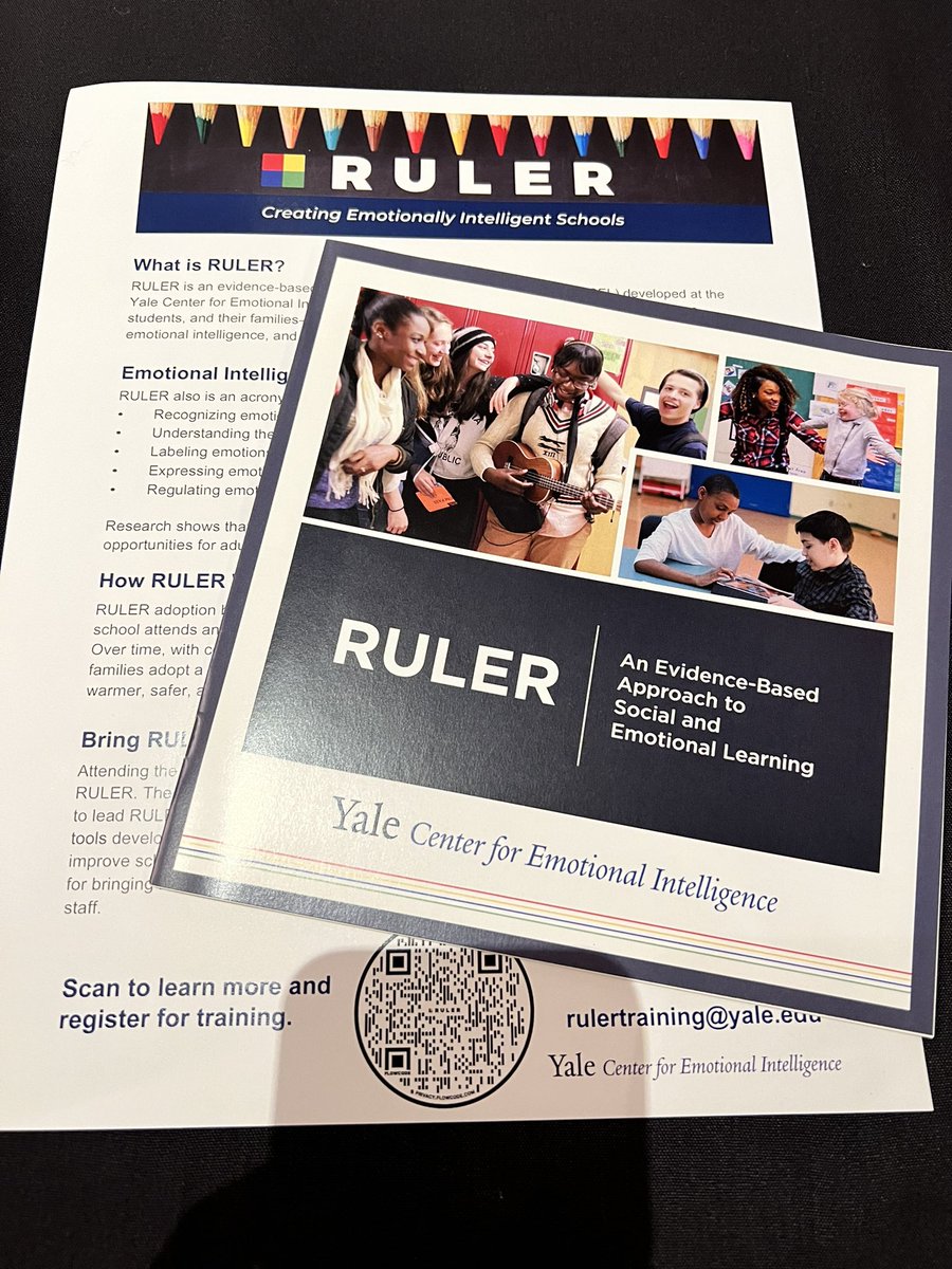 CoriDenny's tweet photo. Excellent keynote sharing strategies for healthy emotion regulation @DPLEAGUE. #DPLIS https://t.co/VVnffUURSJ