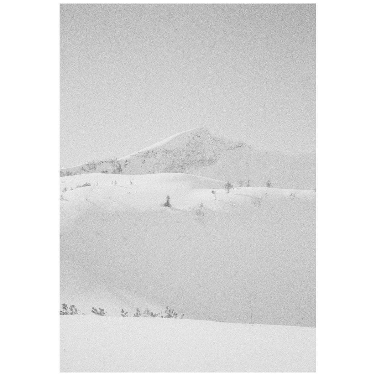 This extraordinary B&amp;W composition by Daniel Tiedemann (<a href="/oneshotmafia/">Daniel Tiedemann</a>) from #germany is the winner of our photo of the week contest. Congratulations!
-
Use the hashtag #analogmagazine to submit your photos for next week's contest.
---
#filmphotography