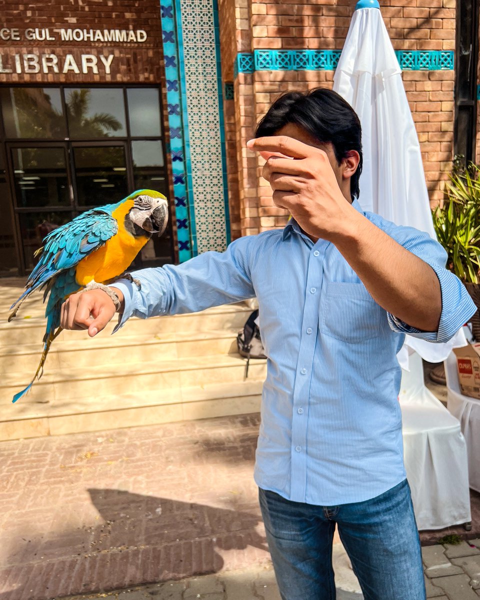 m0usama's tweet photo. "Hello, m0ody m0caw!" https://t.co/sNPx0XVnUs