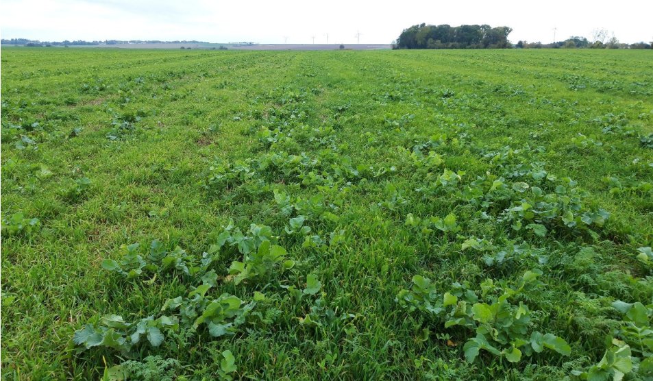 Vincent GREGOIRE tweet media