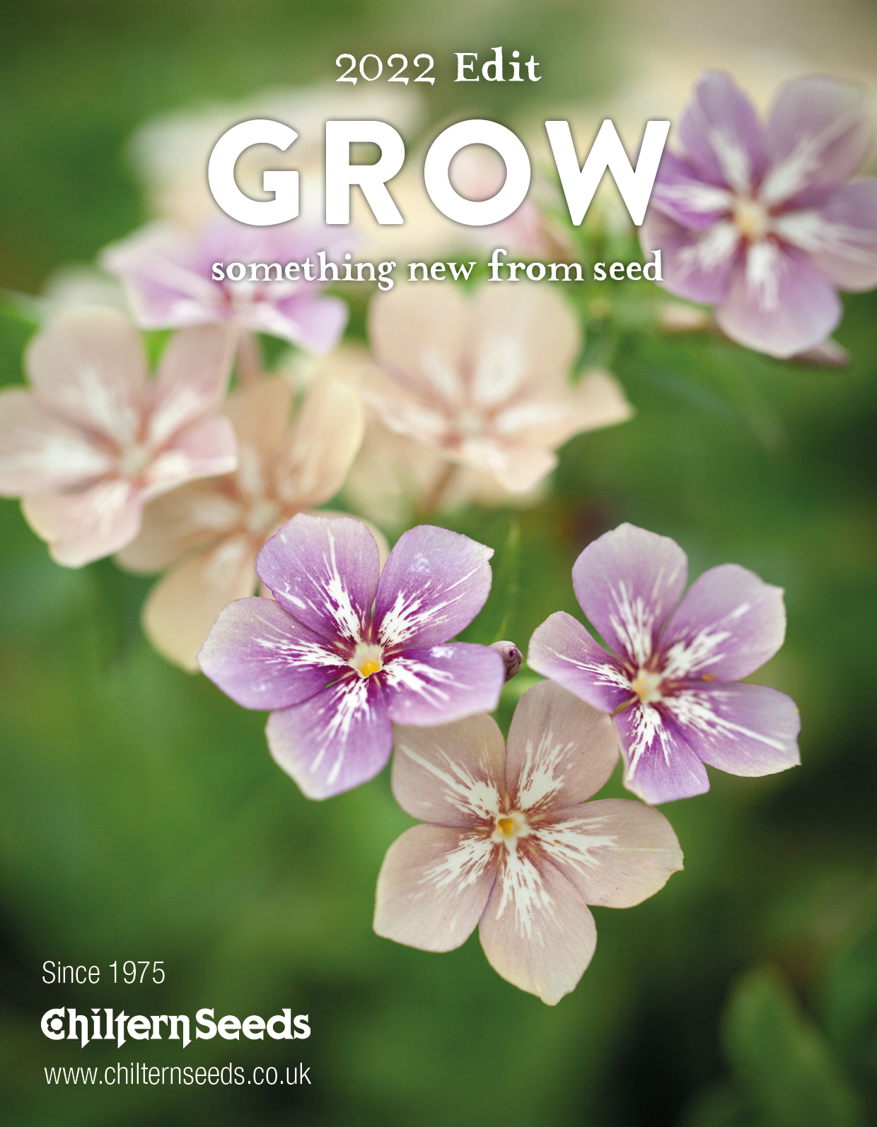 Chiltern Seeds (ChilternSeeds) / Twitter