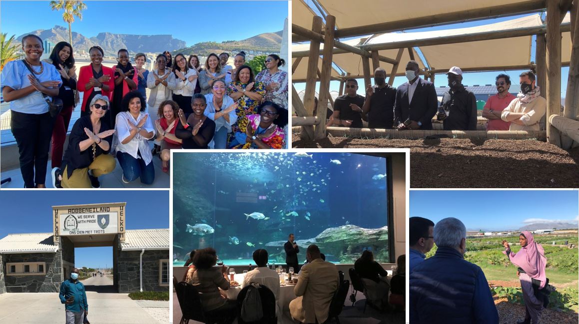 HECParisSnO's tweet photo. What a wonderful week with the participants of #LeadCampus @HECParisExecEd program in Cap Town 🇿🇦 A transformative experience to reflect & learn more about the key sustainable developpement facing the entrepreneurs and organizations in Africa. https://t.co/rXvsp291Ut https://t.co/aqXeWTeL9z