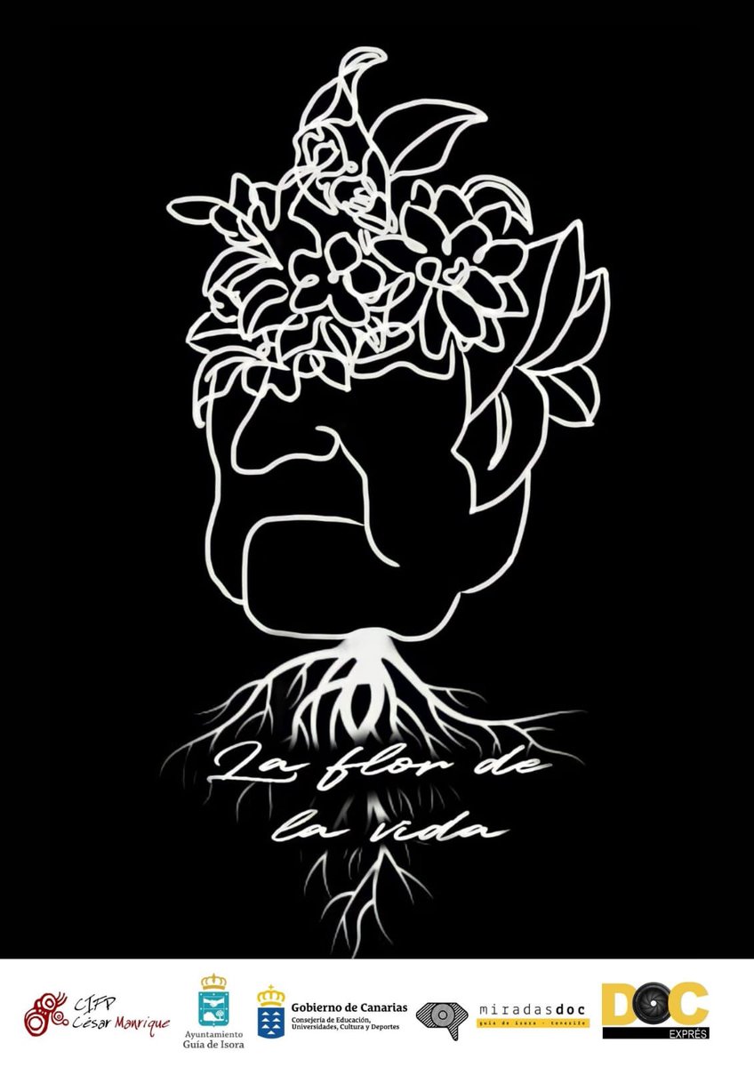 MiradasDoc's tweet image. ¿Plan para esta tarde? Presentación de las piezas documentales del alumnado de #DocExpress 📽¿Te vienes? 

➡️Te esperamos a las 18:00h en la plaza del Centro Cultural.