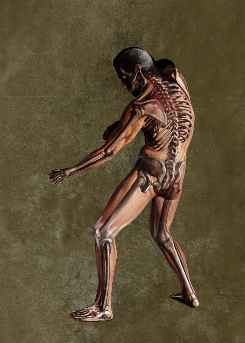 lugernav's tweet photo. Anatomy study #digitalart #wacom #artedigital https://t.co/A3gy90qzrV