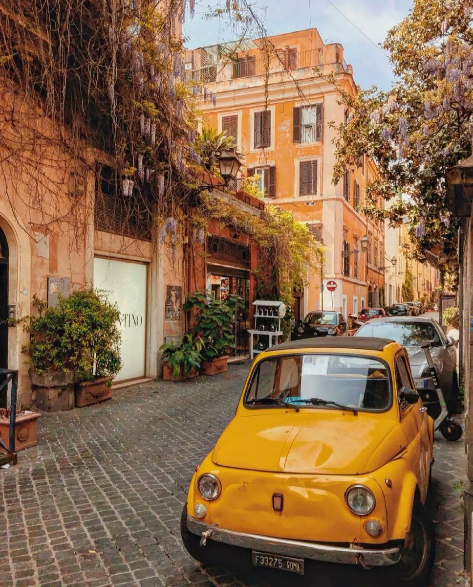TravelVida's tweet photo. Rome, Italy 🇮🇹
📸: andreea.vtv | IG https://t.co/USpct6c0LP