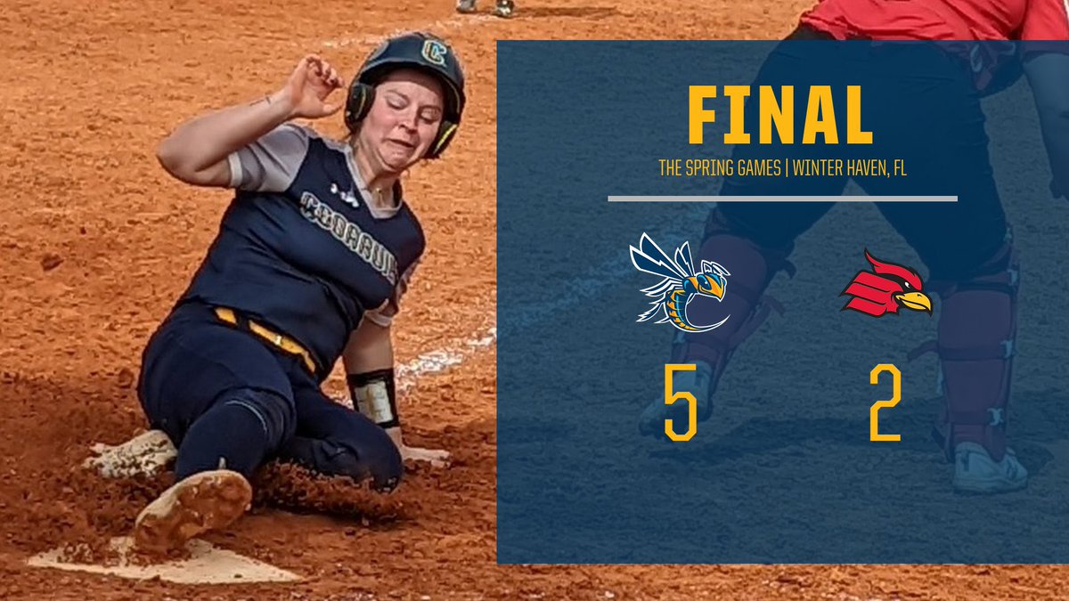 Cedarville Athletics tweet media