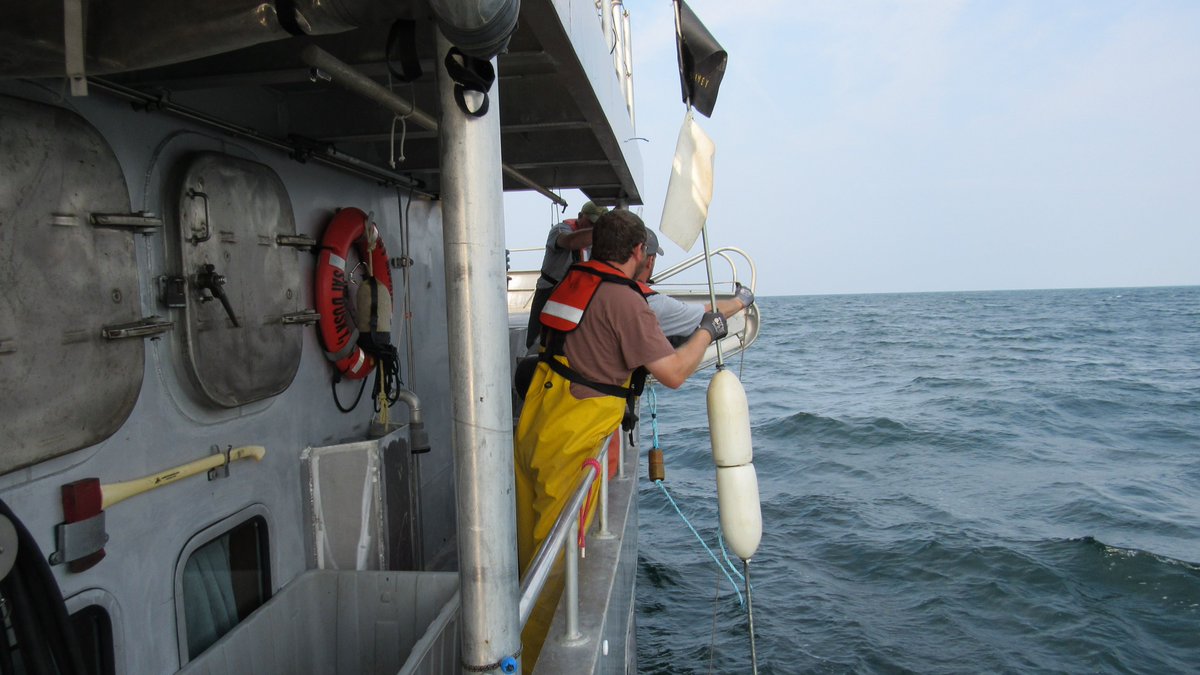eriefishdoc's tweet photo. Three fishery biologist positions on Lake Erie, two different locations, one great agency to work for.  Apply.

Fairport Harbor (east of Cleveland) – (2) positions https://t.co/DgnbeDE5B3 

Sandusky (west of Cleveland) https://t.co/FlOY1v62Tm https://t.co/srNSDgfSYq