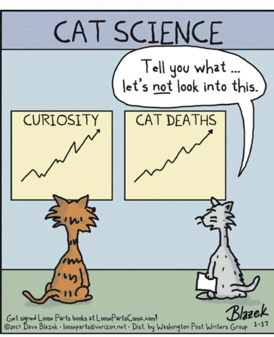 AlfredSearls's tweet photo. #Friday #CatsOfTwitter #ScienceCats https://t.co/Tet8virAWx
