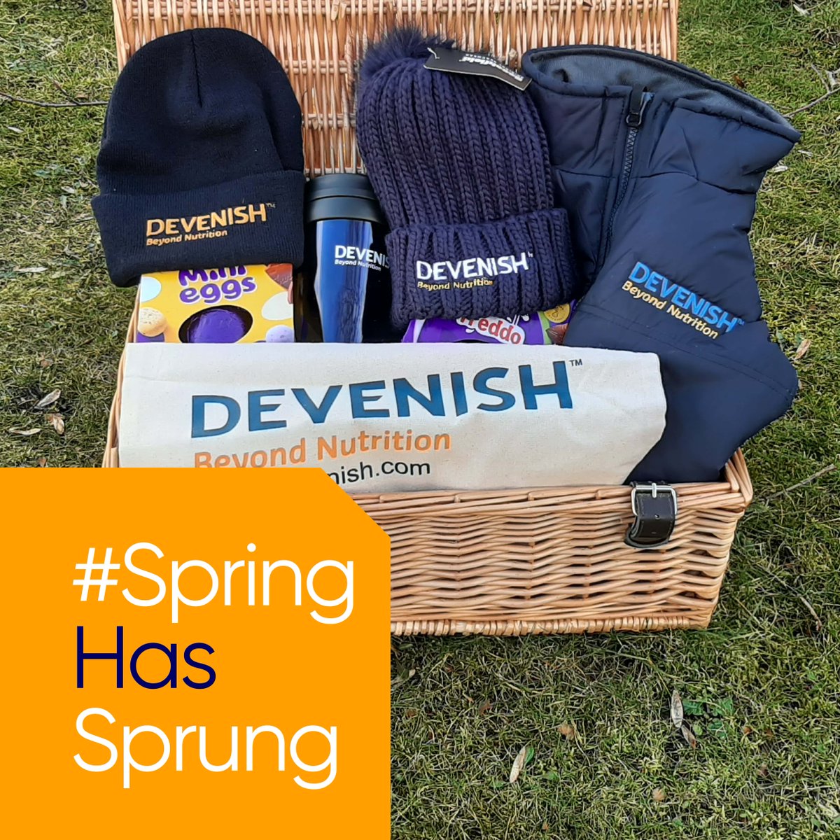 DevenishNutri's tweet photo. Whether youโre out on farm or just out for a walk, we want to see those tell-tale signs that spring is here. Tag us in your best spring photos and videos and use #SpringHasSprung for a chance to win a special Devenish goody bag #LetsFarmSustainably #SoiltoSociety @ABPDemoFarm https://t.co/vORKJfTxWI