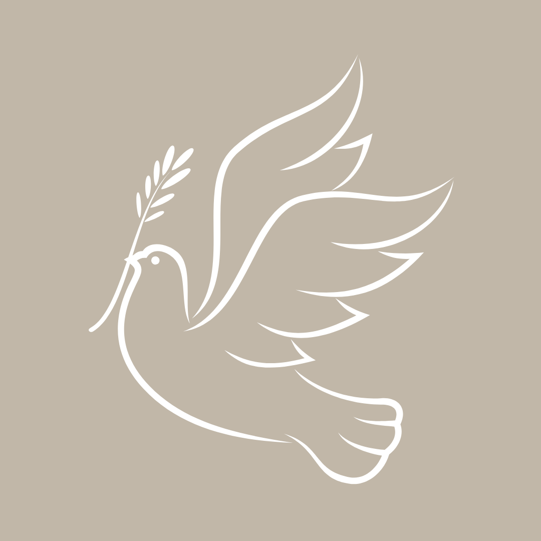 EminenceOrganic's tweet photo. As the humanitarian crisis grows in and around Ukraine, our hearts go out to all families suffering loss and uncertainty. We have made a significant donation towards food and shelter for victims. We stand for kindness, love and peace - we hope for an end to this tragic conflict. https://t.co/jGeEYHi1zE