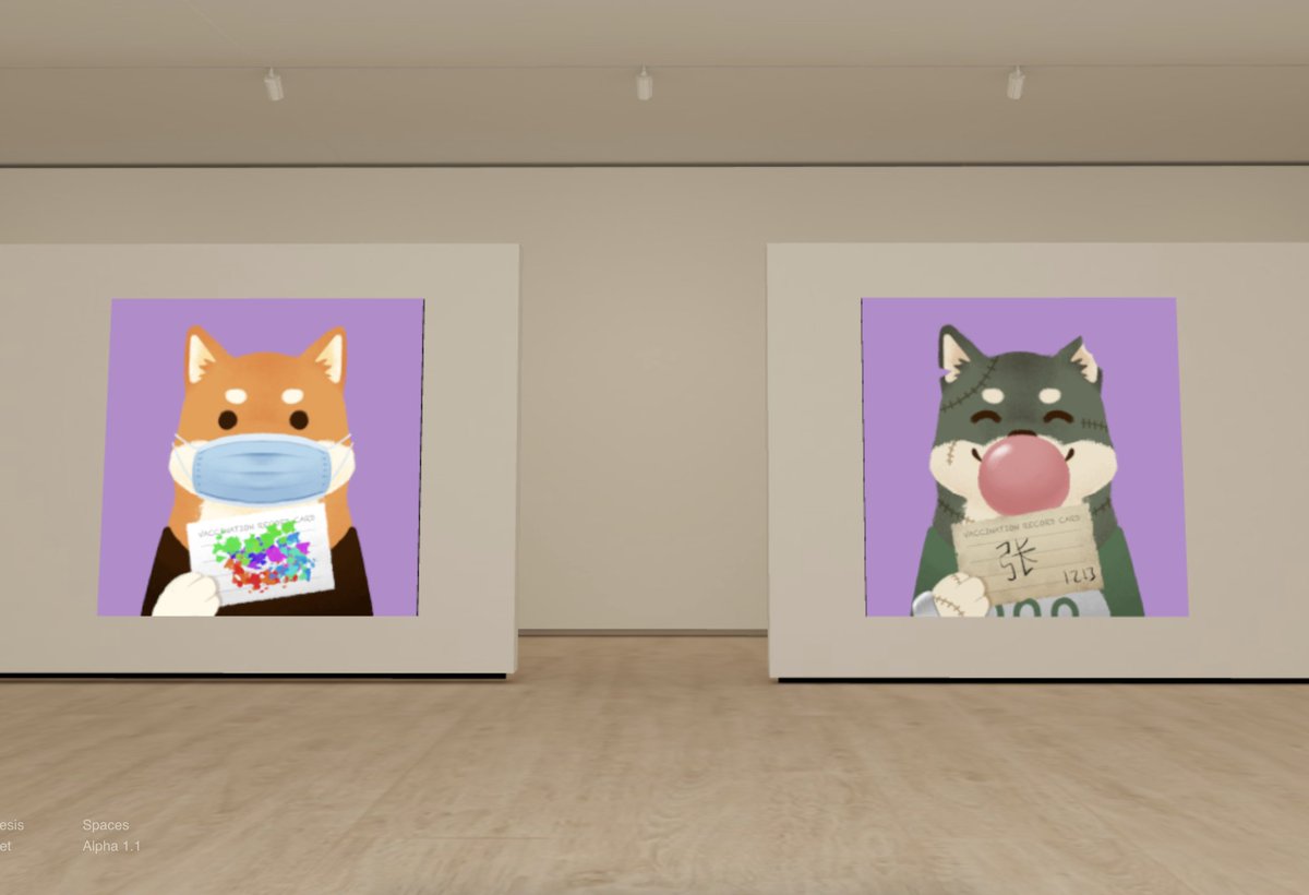 @VaxxedDoggos looks so good in @solaris_nft space :)
