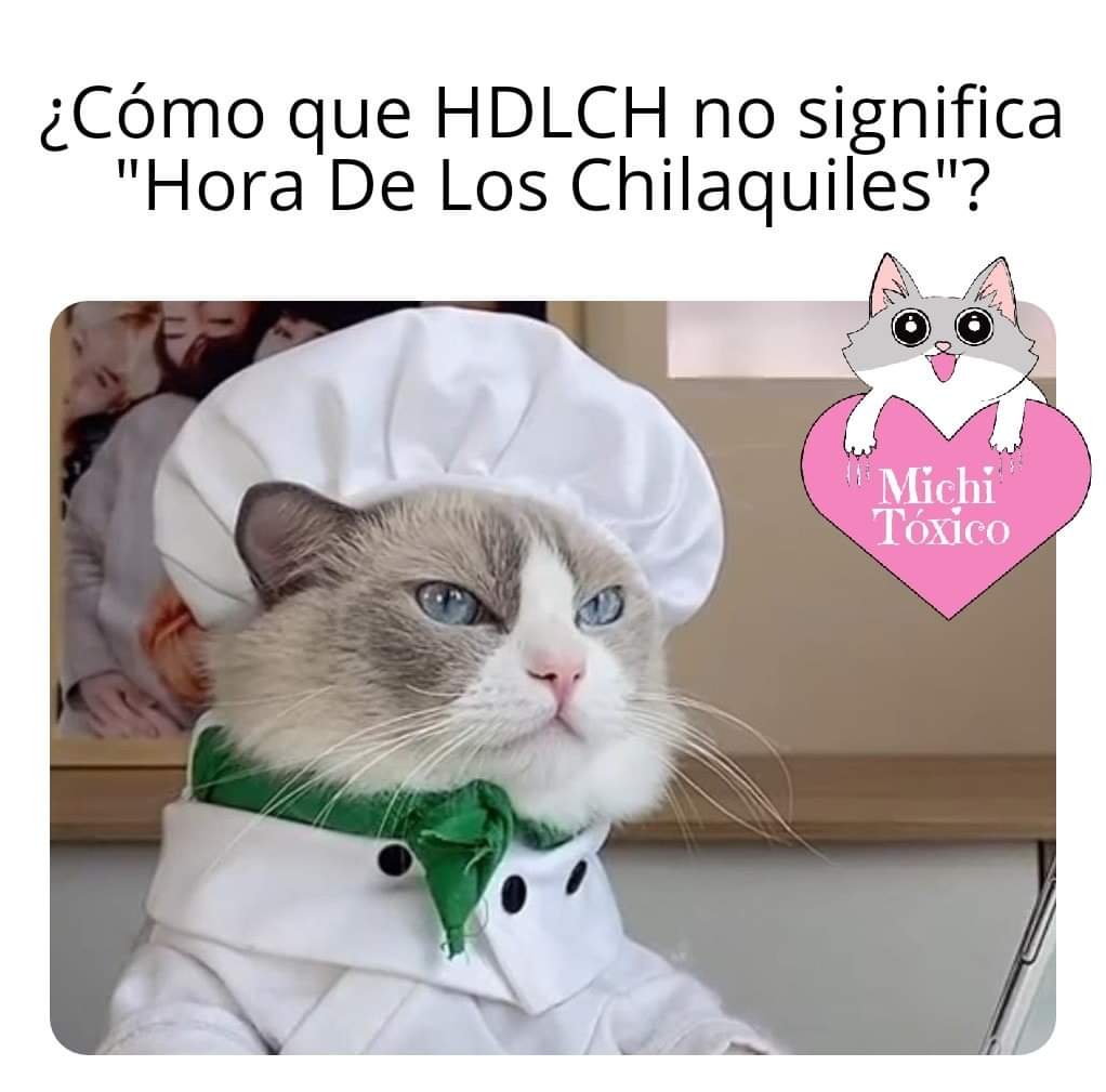 MaribelTlelo's tweet photo. #FelizViernesATodos #HoraDe Los chilaquiles 😎 #SiguemeYTeSigo #siguemeytesigoensegundos https://t.co/0DirWwaspr