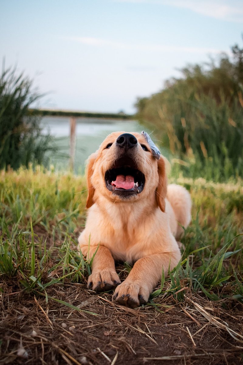 Kipandkaan tweet media