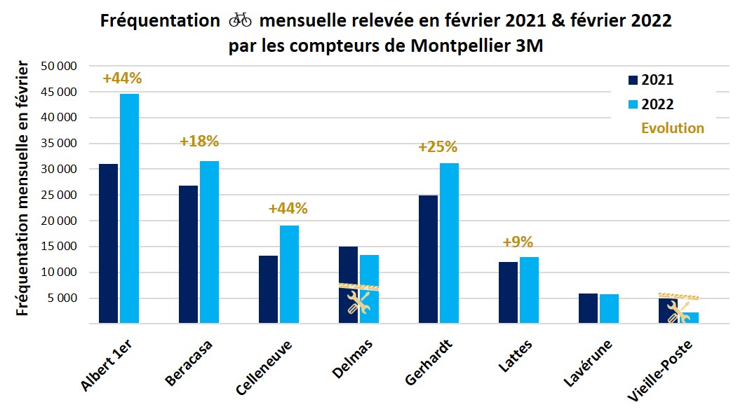 TotemsMTP tweet media