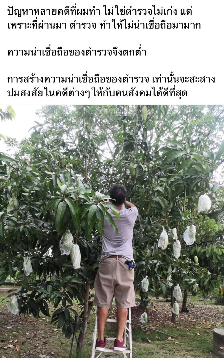 น่าสนใจทีเดียวในมุมมองของคุณจอย นักข่าวภาคสนาม ผู้เคยทำคดีสำคัญมาอย่างมากมาย  และอดีตพิธีกรรายการห้องสืบสวนหมายเลข9  #แตงโมต้องได้รับความยุติธรรม #แตงโม #แตงโมภัทรธิดา