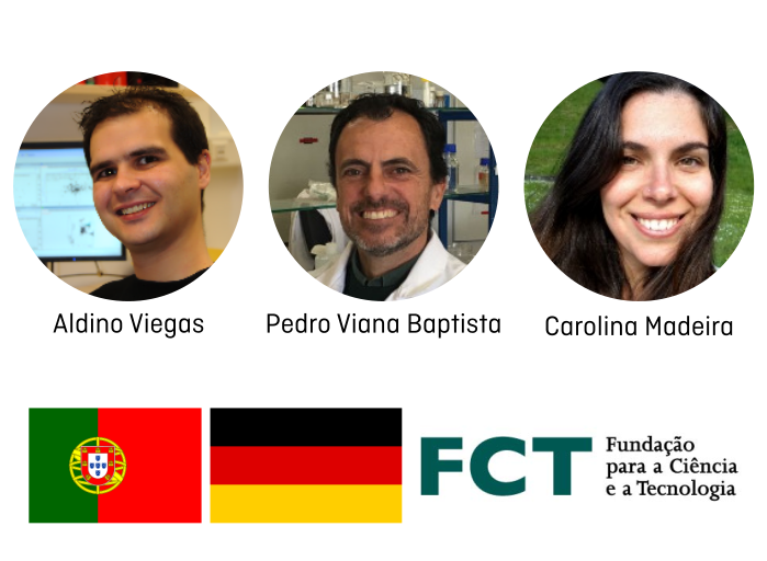 UCIBIO_Research's tweet photo. Congratulations to Aldino Viegas @NMRFCTNOVA1, Carolina Madeira @seatoxlab and Pedro Viana Baptista #NanomedicineLab for their projects approved in the Call for Cooperation in Science between Portugal and Germany.
More: https://t.co/2XjtVBE1cT
@UCIBIO_Research @FCTNOVA @NOVAunl https://t.co/o8bCAYmybj