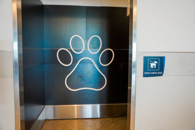 iah's tweet image. Taking your four-legged friend to the beach? 🐶 Make sure to stop by one of our service animal relief areas for a much-needed break. 🐾 #SpringBreakTips

Locations here: bit.ly/3t4SupF