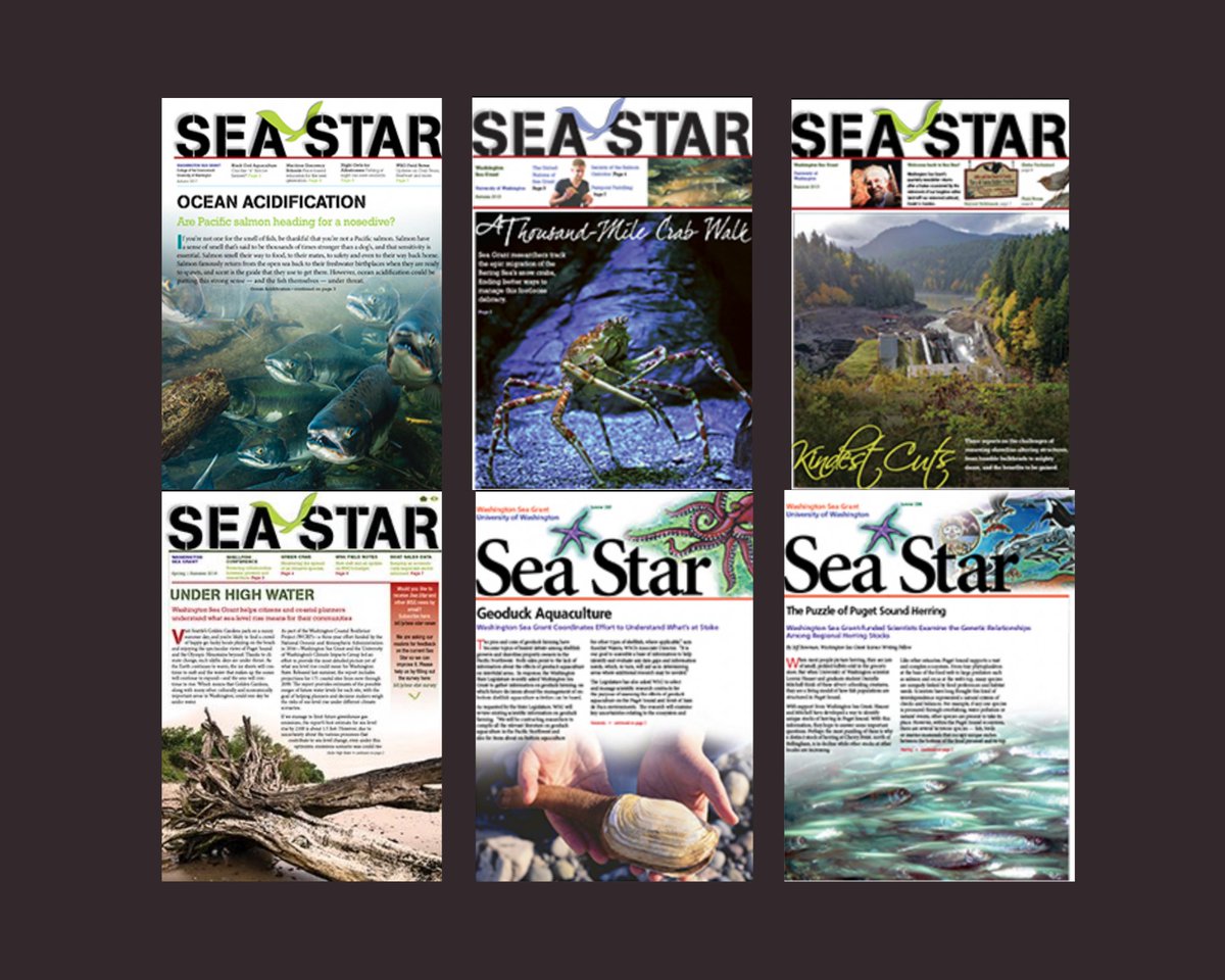 Washington Sea Grant tweet media