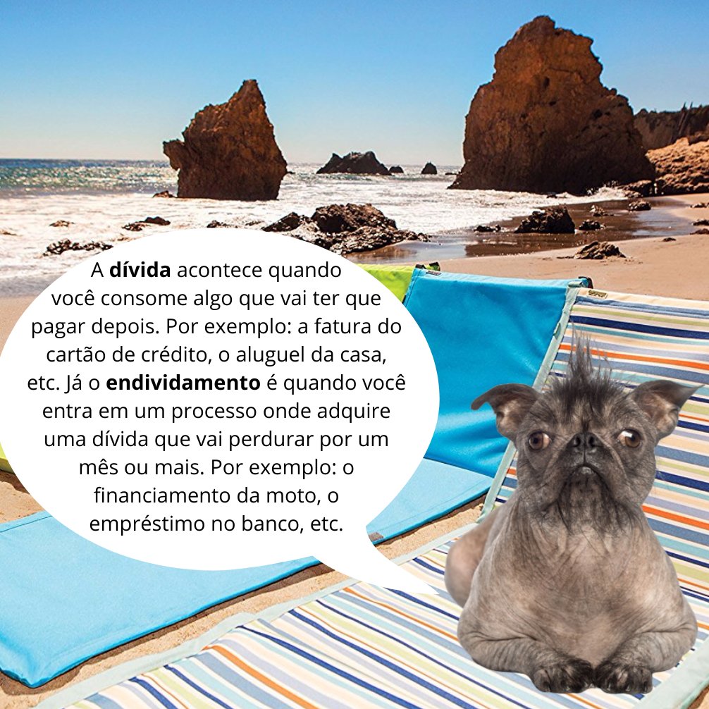Uffa_com_vc's tweet photo. 🔊 MOMENTO MOCORONGA RESPONDE:

Doguinho, qual é a diferença entre dívida e endividamento? https://t.co/oMNjfvjnON
