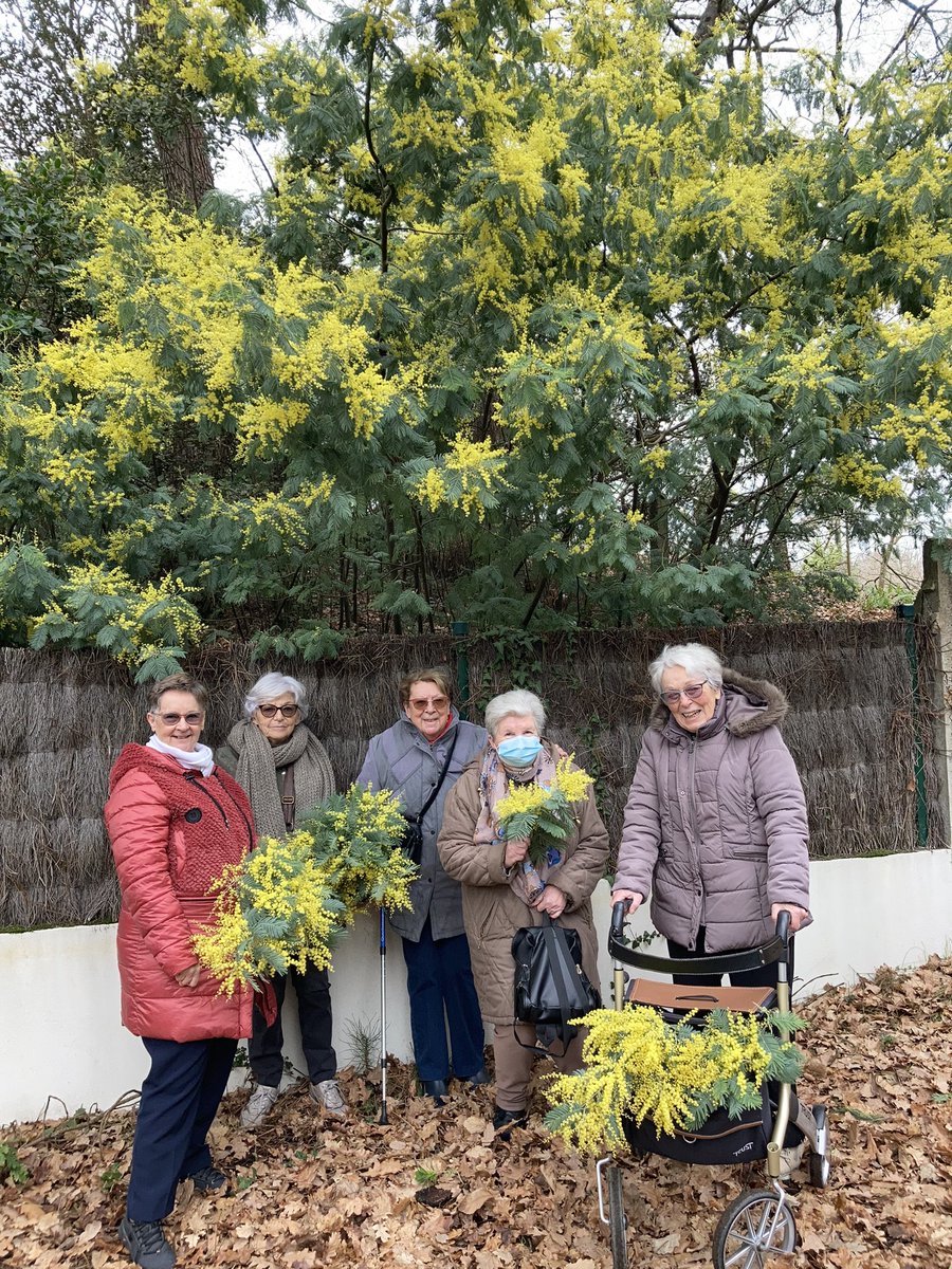 Senioriales de Pornic tweet media