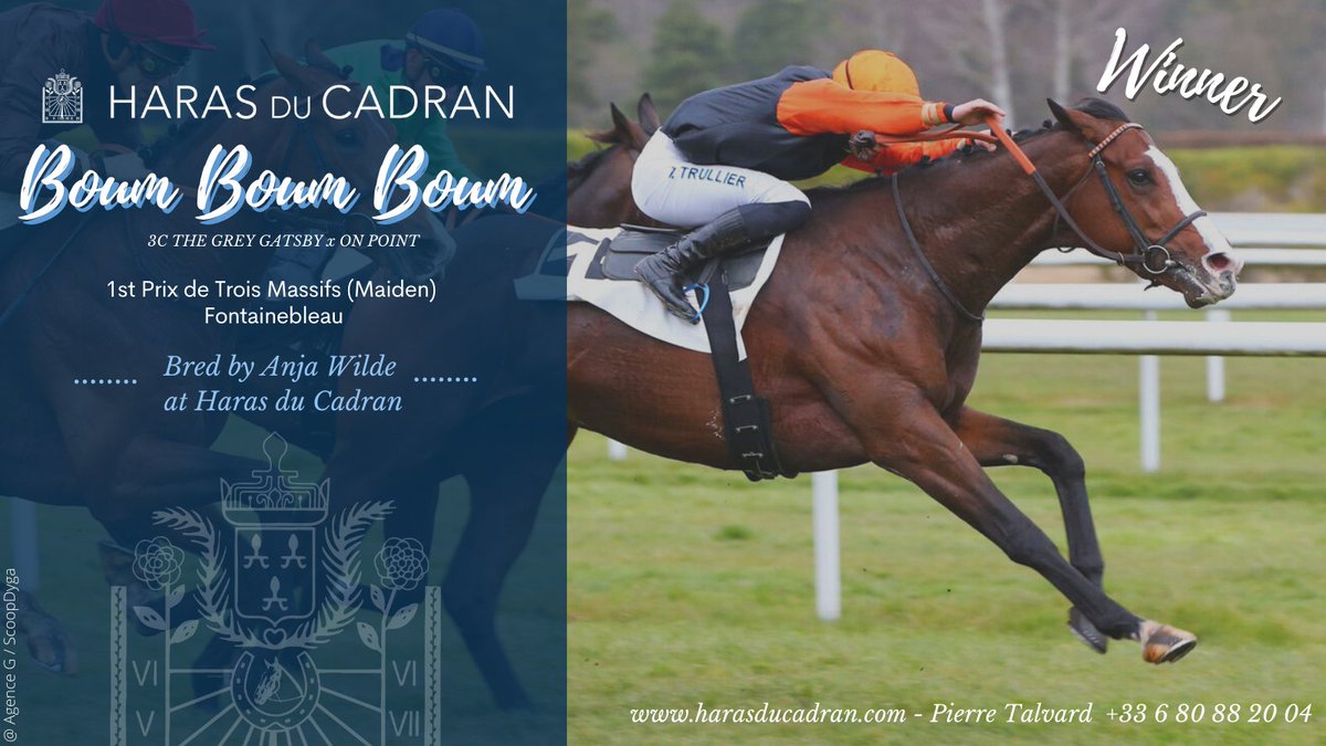 HARAS DU CADRAN (@hcadran) on Twitter photo ℕ𝕖𝕨 𝟛𝕪𝕠 𝕨𝕚𝕟𝕟𝕖𝕣 ⭐️
Boum Boum Boum (C3 The grey Gatsby x On Point) breaks his maiden at the 2nd time of asking, winning the Px des Trois Massifs <a href="/Fontainebleau/">Fontainebleau Miami Beach</a> in the colours of A. Wilde. The 3yo colt is trained by <a href="/CYLerner/">C&Y Lerner</a> and was ridden by <a href="/trullierthomas/">trullierthomas</a>. ℕ𝕖𝕨 𝟛𝕪𝕠 𝕨𝕚𝕟𝕟𝕖𝕣 ⭐️
Boum Boum Boum (C3 The grey Gatsby x On Point) breaks his maiden at the 2nd time of asking, winning the Px des Trois Massifs <a href="/Fontainebleau/">Fontainebleau Miami Beach</a> in the colours of A. Wilde. The 3yo colt is trained by <a href="/CYLerner/">C&Y Lerner</a> and was ridden by <a href="/trullierthomas/">trullierthomas</a>.