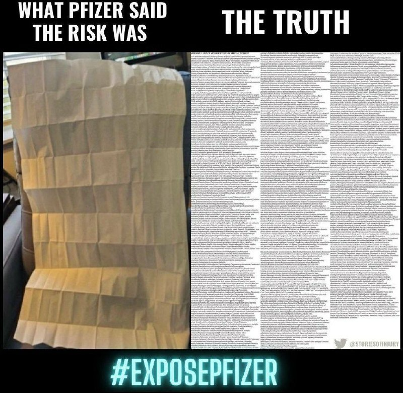 RoiLevran's tweet image. Reality Check :) 👇
#EXPOSEPFIZER