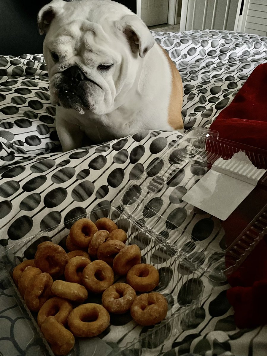 Donut you know what day it is? It’s Donut Day in my house!  🍩🍩🍩🍩🍩🍩🍩🍩🍩🍩🍩 Happy Friday! I hope your day is sweet!