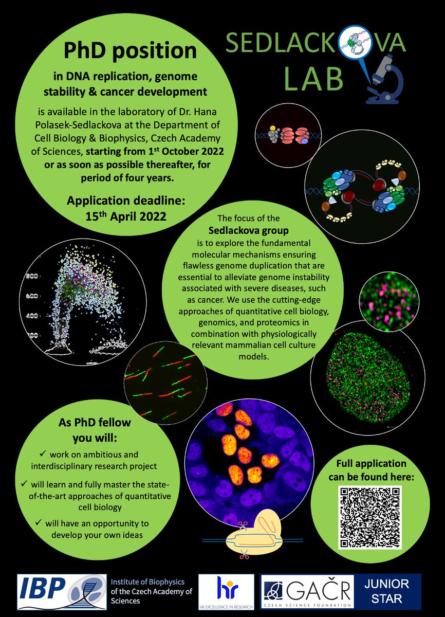 Are you interested in DNA replication, genome stability and cancer development? A PhD position is available in our group 🧬🔬 Come and join us <a href="/BFUavcr/">Institute of Biophysics of the Czech Acad. Sci.</a>
<a href="/Akademie_ved_CR/">Akademie věd ČR</a> <a href="/brnomycity/">Brno</a>

ibp.cz/en/offers/job-…