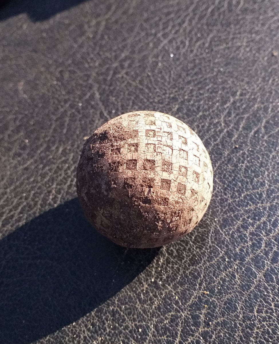 igcecology1's tweet image. After 2 1/2 week delay clearing up damage from #stormeunice back onto ecology work @PurdisHeathGolf this week. Prep work to all our heath restoration areas complete ready for seed over next 2 weeks. Found this old golf ball with square dimples, not seen one before @Ecology1BIGGA
