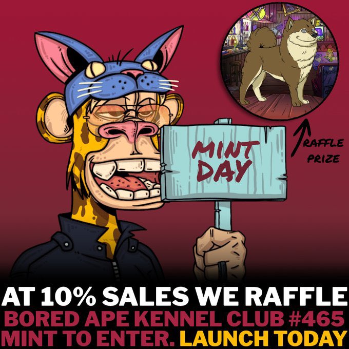 Starving Ape™ 🍌 tweet media