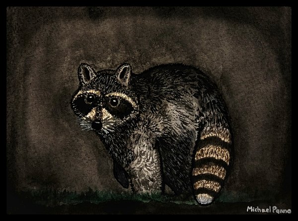 ForgeMosquito's tweet photo. New artwork for sale! - "Raccoon W/ Border" - https://t.co/IKq2G7GDc5 @fineartamerica https://t.co/4L9gmsnIZf