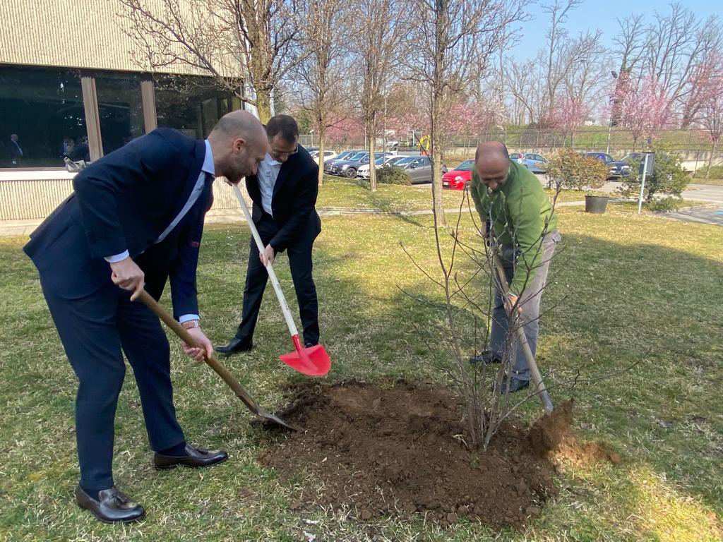 claudio_bassoli's tweet image. Per M&apos;illumino di Meno, la giornata del risparmio energetico e degli stili di vita sostenibili di @Raiperilsociale, @RaiRadio2 e @Caterpillarrai, abbiamo piantato alberi di Magnolia nella nostra sede di Cernusco sul Naviglio. #sostenibilità #transizioneecologica