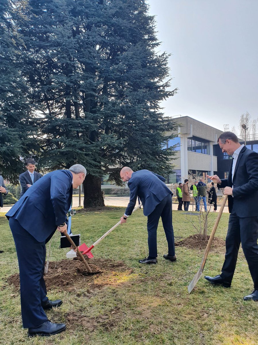 claudio_bassoli's tweet image. Per M&apos;illumino di Meno, la giornata del risparmio energetico e degli stili di vita sostenibili di @Raiperilsociale, @RaiRadio2 e @Caterpillarrai, abbiamo piantato alberi di Magnolia nella nostra sede di Cernusco sul Naviglio. #sostenibilità #transizioneecologica