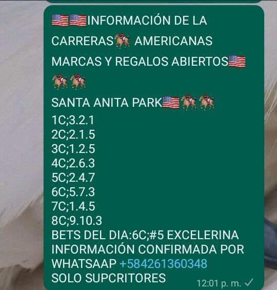 Franklinizzio's tweet photo. @AGENCIAKOKONELL
@DEnmascarado
@ARodriguezVera
@almadelhipismo 
@m_estiben 
@Angel17561 
@CaribePalma
@enriquegonzal84
@jeanmaire280285 
@EvonySolorzano
@thekingnba1980
@marrpacheco
@radiohipico1
@ELLOCOHIPICO2 https://t.co/uSltMOZSdH