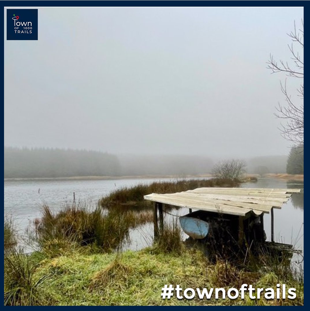 townoftrails's tweet photo. Thanks to John Onslow for sending this scenic shot of the Wester Moss at Ashkirk! Have you got a photo you'd like to share? We'd love to see them 🌊
#townoftrails #proHawick #sendyoursnaps https://t.co/cMv1Z7VxPc
