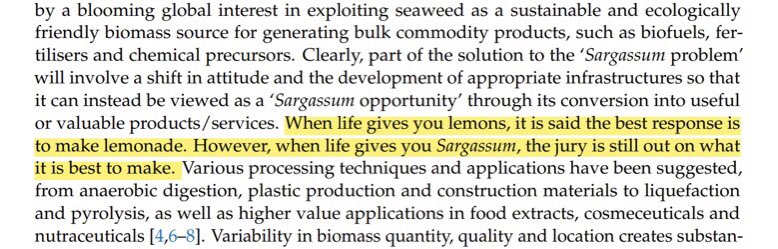 Here it is, in all its glory. 🍋 🍋🍋