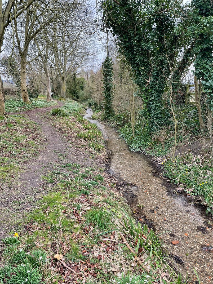 educatinggeeta's tweet photo. Met some inspiring women on today's @ChilternsAONB #countryside walk. Talked #chalkstreams  #environmentalaction #treedisease foodstories, #genderequality stories, Indian outdoor cooking event (watch this space TBC!).  #intersectionalenvironmentalist #chilterns @irfan_fozia https://t.co/b8WE9BW9QB