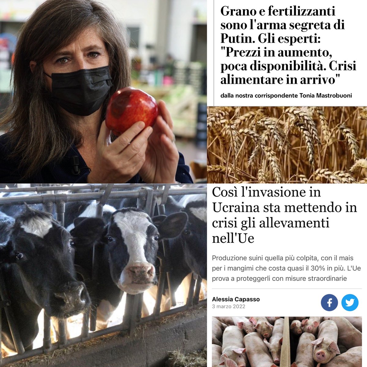 Tutti al capezzale del settore dell’allevamento intensivo. Colpevolmente non colgono l’occasione per capire le conseguenze della globalizzazione, del cibo economico e insostenibile. E poi, sentire che la mela è marcia da chi l’ha fatta marcire... #Ucrainarussia