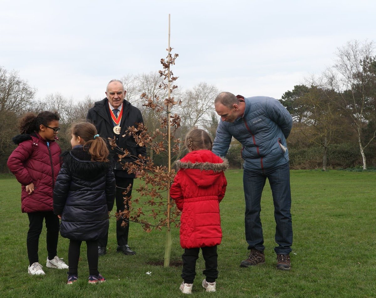 FelixstoweCouncil on Twitter "This afternoon, 7 oak trees were planted