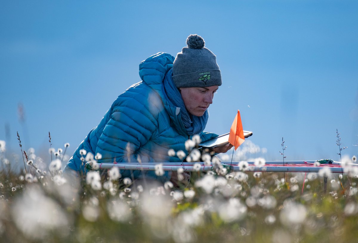 #NatGeoExplorer and ecologist Dr. Isla Myers-Smith (<a href="/IslaHMS/">Isla Myers-Smith</a>) has been busy surveying vegetation change as a part of a long-term monitoring program in the Canadian Arctic. She recently contributed to the UN Intergovernmental Panel on Climate Change (IPCC). Photos by Jeff Kerby