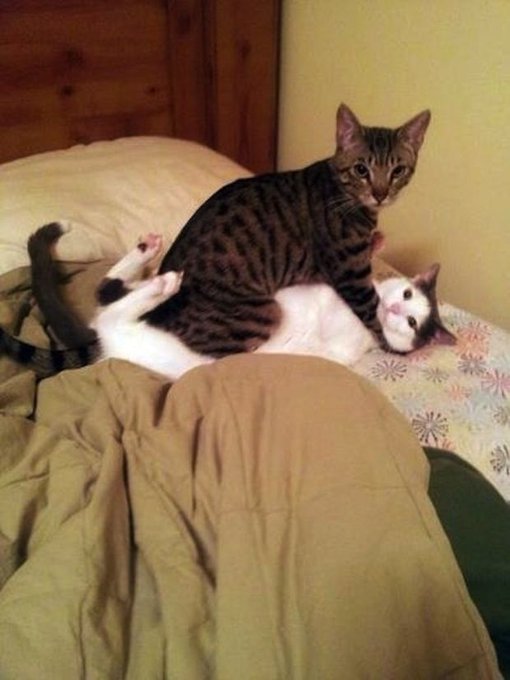 Me n who  #nsfwtwt #nsfw https://t.co/1OnGckI0m1<a href="/tag/nsfwtwt"class="tags">#nsfwtwt</a><a href="/tag/nsfw"class="tags">#nsfw</a>
