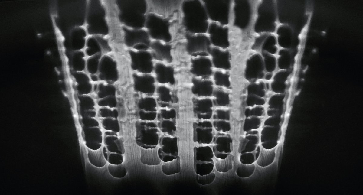 mangomewn tweet media