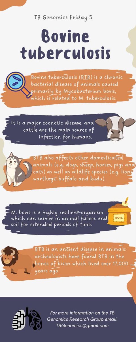 Today’s #TBGenomicsFriday5 is all about Bovine #tuberculosis. Did you know animals get #TB too? 

#Friday5 #BovineTuberculosis #BTB #tbgenomics #education #EndTB #sciencecommunication #scicomm #FridayFive