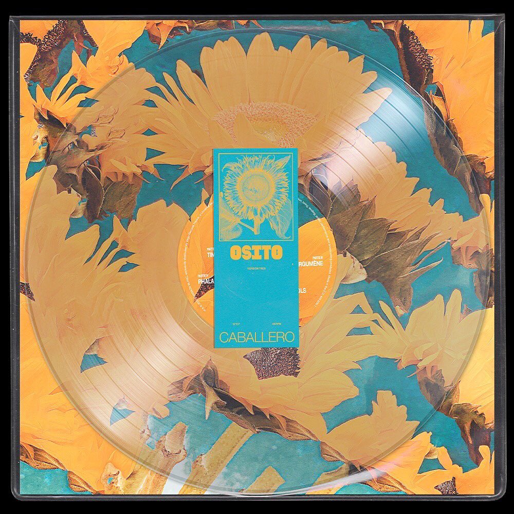 caballerobxl's tweet photo. Osito 3100 vinyles limites PRÉCOS le 14 mars 2022 / 4 artworks différents fait par le grand @raegular !!! Aussi dispo en streaming le 08 avril https://t.co/B9c0Jx76vc