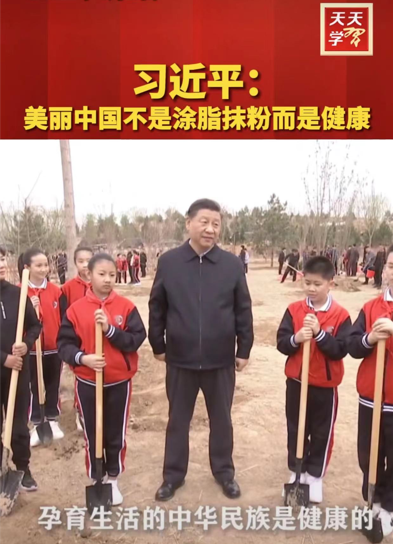 pdCVsXmldF9Q11l's tweet photo. 没有文案，今天植树节，绿色低碳出行。 https://t.co/w0fs5wivVZ
