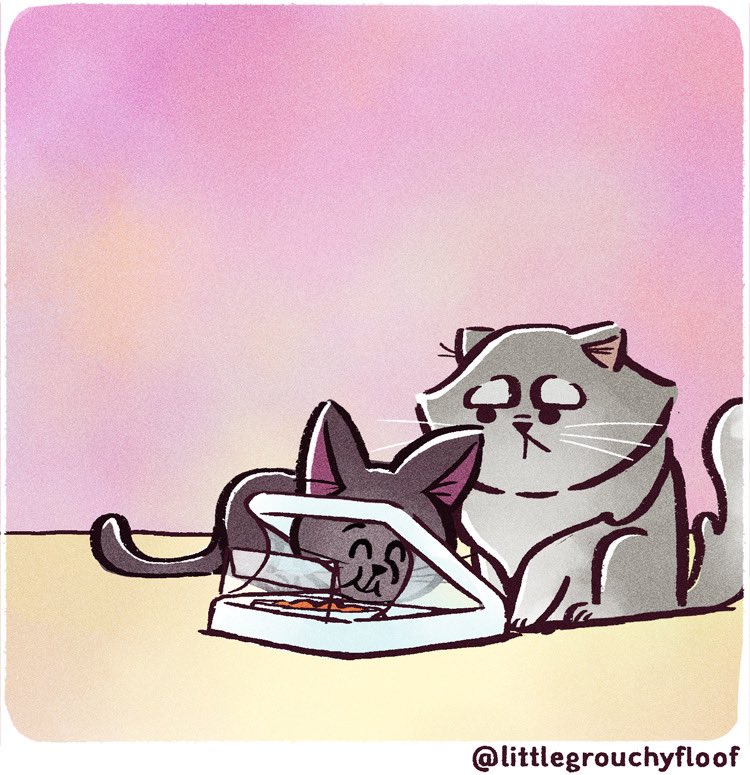 littlegrouchyf1's tweet photo. How we stopped a cat food thief: Trying out the #Surefeed microchip pet feeder (part 2 of 2)
.
.
#catcomics @SurePetcare https://t.co/PqhpLzDKvu