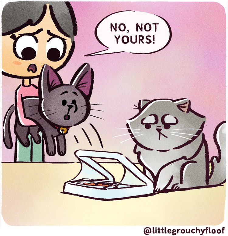 littlegrouchyf1's tweet photo. How we stopped a cat food thief: Trying out the #Surefeed microchip pet feeder (part 2 of 2)
.
.
#catcomics @SurePetcare https://t.co/PqhpLzDKvu
