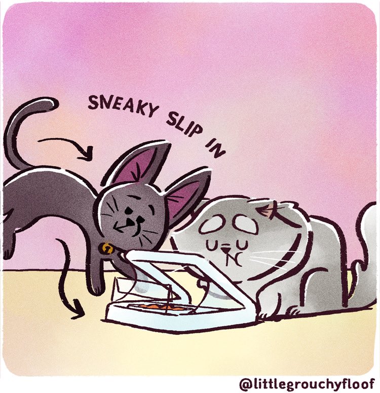 littlegrouchyf1's tweet photo. How we stopped a cat food thief: Trying out the #Surefeed microchip pet feeder (part 2 of 2)
.
.
#catcomics @SurePetcare https://t.co/PqhpLzDKvu