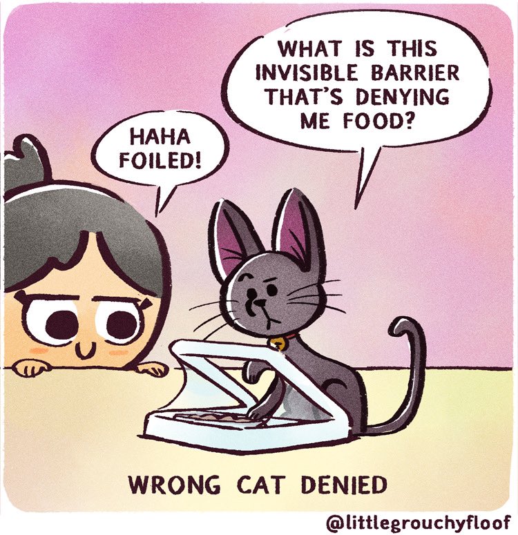 littlegrouchyf1's tweet photo. How we stopped a cat food thief: Trying out the #Surefeed microchip pet feeder (part 1 of 2)
.
#catcomics @SurePetcare https://t.co/Bi0r9StH0Y