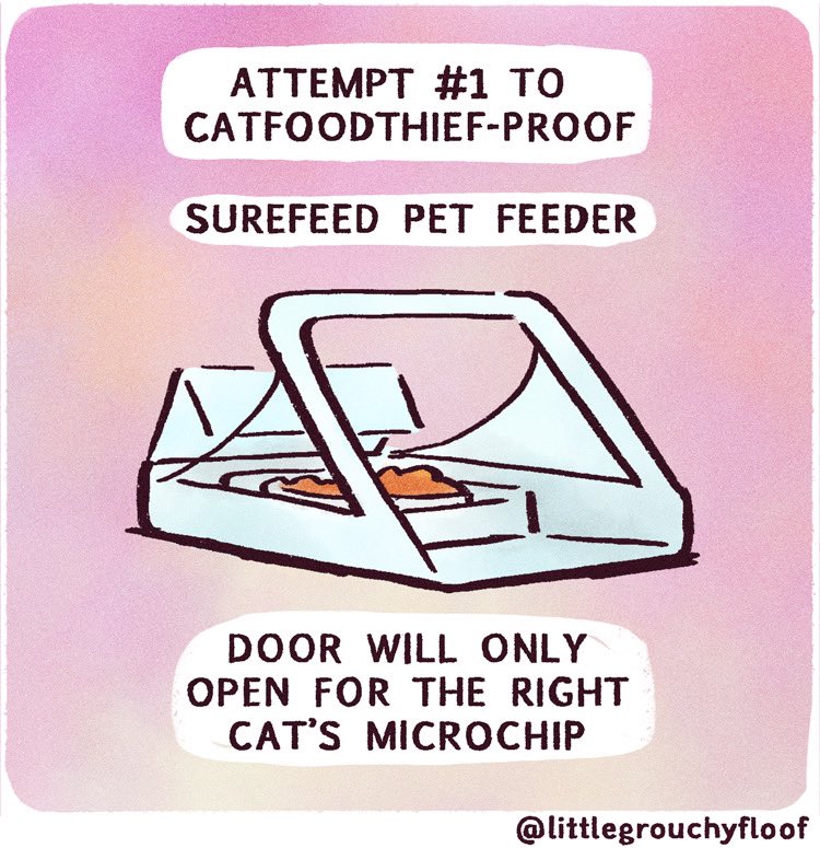 littlegrouchyf1's tweet photo. How we stopped a cat food thief: Trying out the #Surefeed microchip pet feeder (part 1 of 2)
.
#catcomics @SurePetcare https://t.co/Bi0r9StH0Y